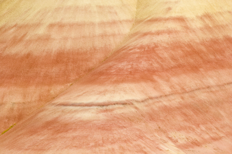 Detail Of The Painted Hills